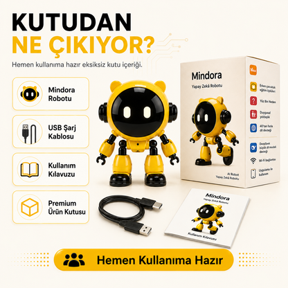 Mindora Yapay Zekâ Arkadaşı